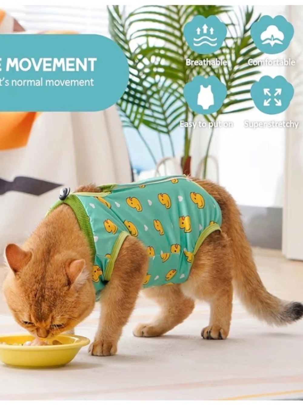 Cat Recovery Suit